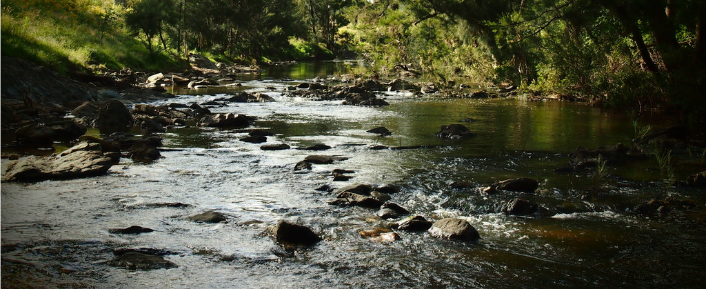 Gold bearing creek with running water over small rapids